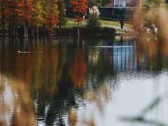 -白鹭湾湿地公园