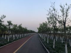 -天津东丽湖风景区