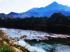 -长寿村