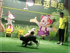 -梦幻海洋王国(吾悦广场张家港店)