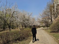 -沈阳诺翰酒店