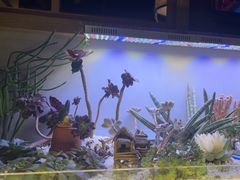 -街角等你.大连海鲜烧烤(西安路店)