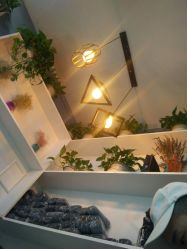 -DL HAIR SALON