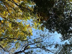 -杭州植物园