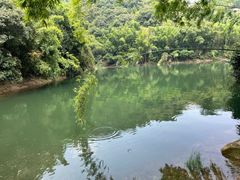 -鼎湖山风景区