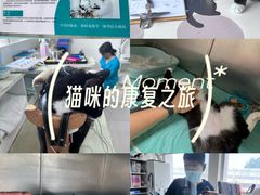 -派美特宠物医院·核磁CT·骨科肿瘤·疑难转诊(沈农禾丰店)