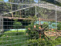 -深圳野生动物园