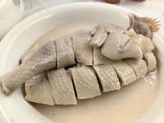 白切鸡-盈旺小厨·非遗黄鳝饭(泰康路店)