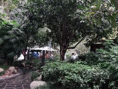 -融汇温泉