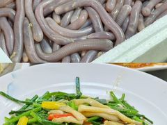 -寻味顺德·南记酒家·传统顺德菜·鱼生(广源路店)