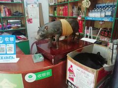-香猪美食(中心店)