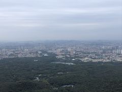 -紫金山山顶公园
