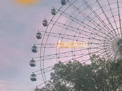 -温州乐园