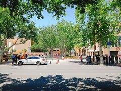 -山东省青岛第二中学(江西路分校)