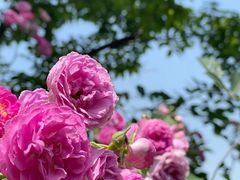 -东山风景区(洞庭东山)