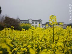 -新安江山水画廊风景区