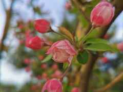 -永定河休闲森林公园