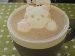 -吉丁鸟咖·异宠·寄养