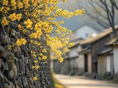 -吾悦广场(南京鼓楼店)