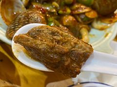 番茄牛腩砂锅-老姑砂锅·烧烤天津菜(体北道店)