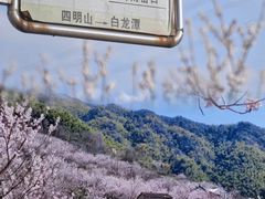 -四明山国家森林公园