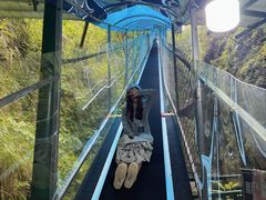 -鹿院坪生态旅游景区