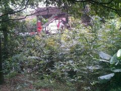 -火炉山森林公园