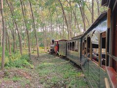 -合肥滨湖国家森林公园