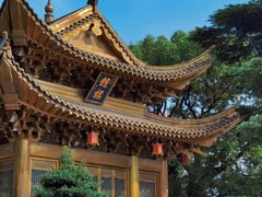 -上海东林寺(金山区)