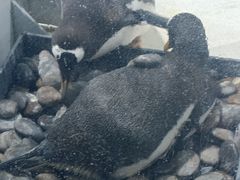 -杭州长乔极地海洋公园