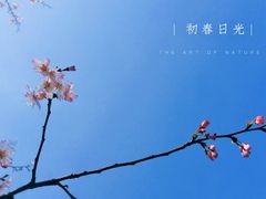-晓庄学院-食堂