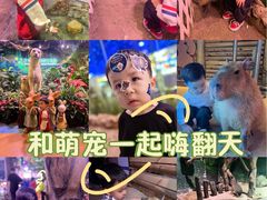 -正佳雨林生态植物园