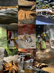 -Zoolung Zoolung动物主题公园(海信广场店)