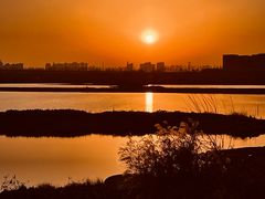 -盘龙城国家考古遗址公园