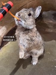 -Zoolung Zoolung动物主题公园(海信广场店)