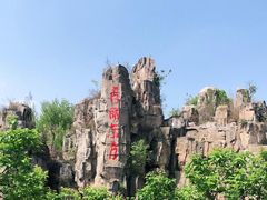 -秀丽东方