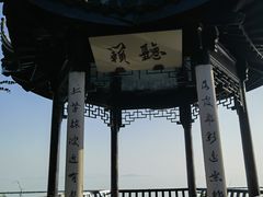-贡湖湾湿地公园