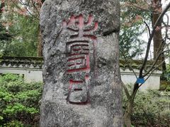 -南山植物园