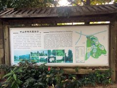 -中山市树木园
