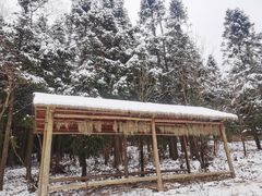 -武陵山森林公园
