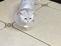 -北京恒爱动物医院(清景园分院)