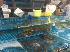 -渔人湾码头海鲜市场负二楼