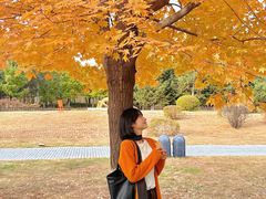 -长春世界雕塑园冰雪艺术天地