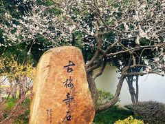 -无锡梅园公园