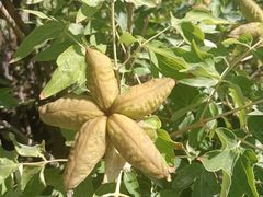 -张掖大佛寺景区