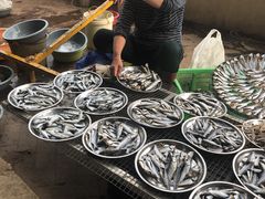 -南沙十九涌渔人码头-南门