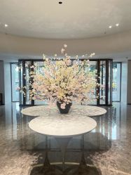 -广州美莱医疗美容医院