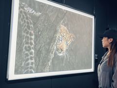 -罗红摄影艺术馆