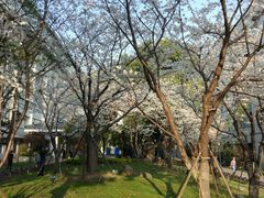 -苏州市立医院本部母子保健中心