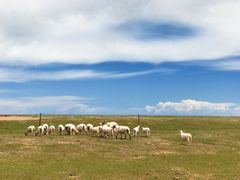 -青海湖国家重点风景名胜区